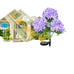 Hydrangea Solar Lamp Courtyard Decoration